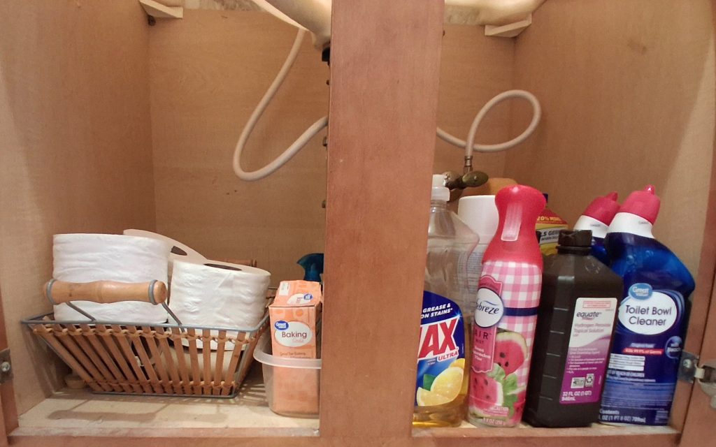 photos of organized spaces - bathroom under-sink