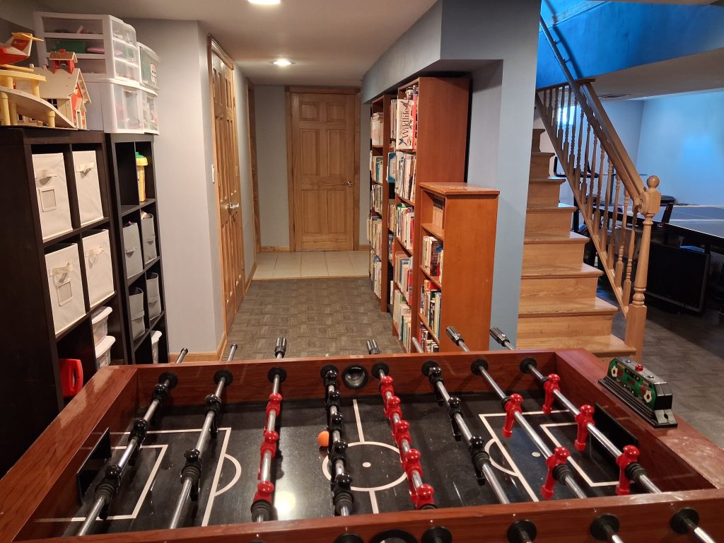 basement organizing for shared spaces